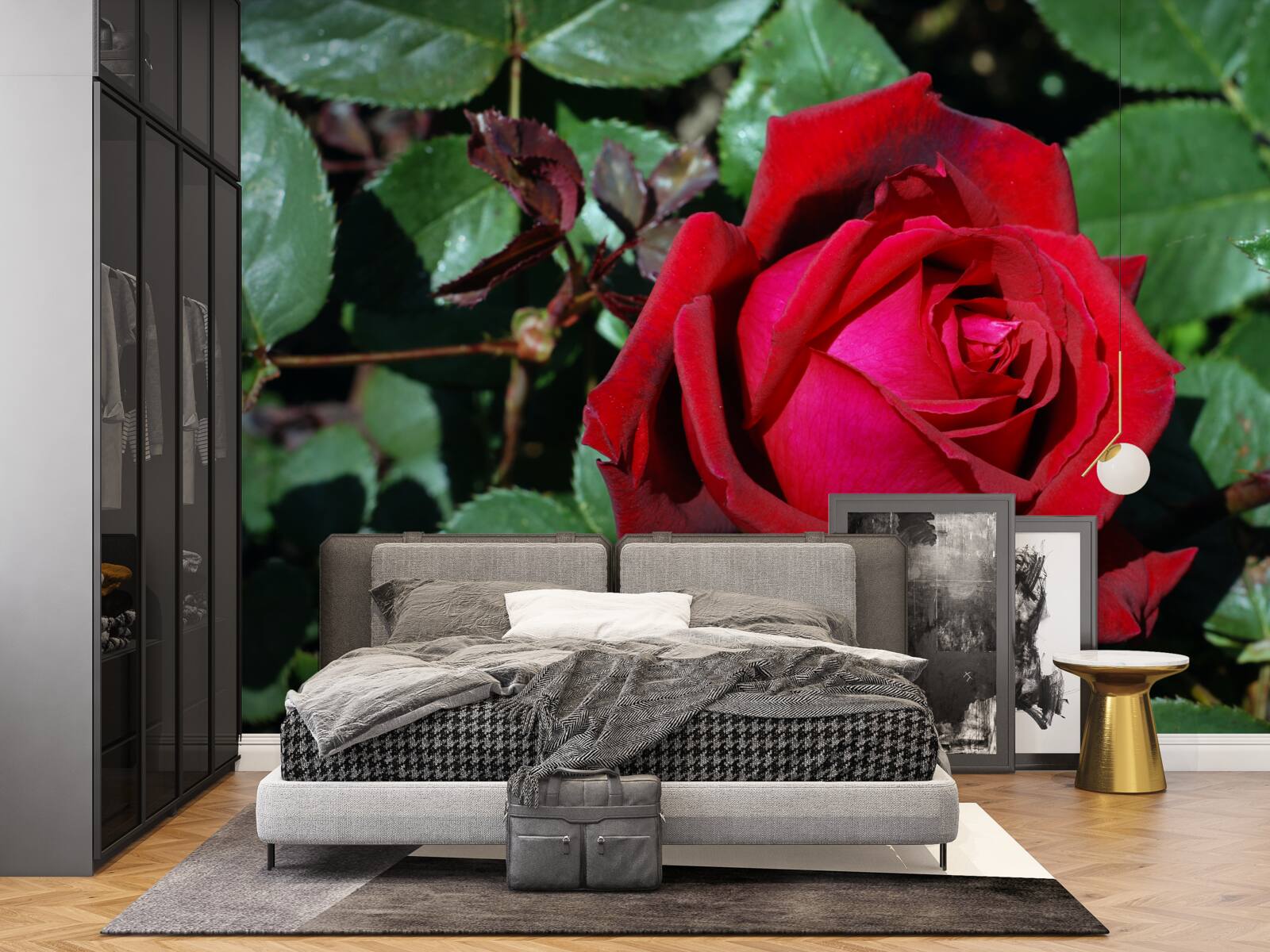 Fototapeta w ogrodzie zakwitła szkarłatna róża