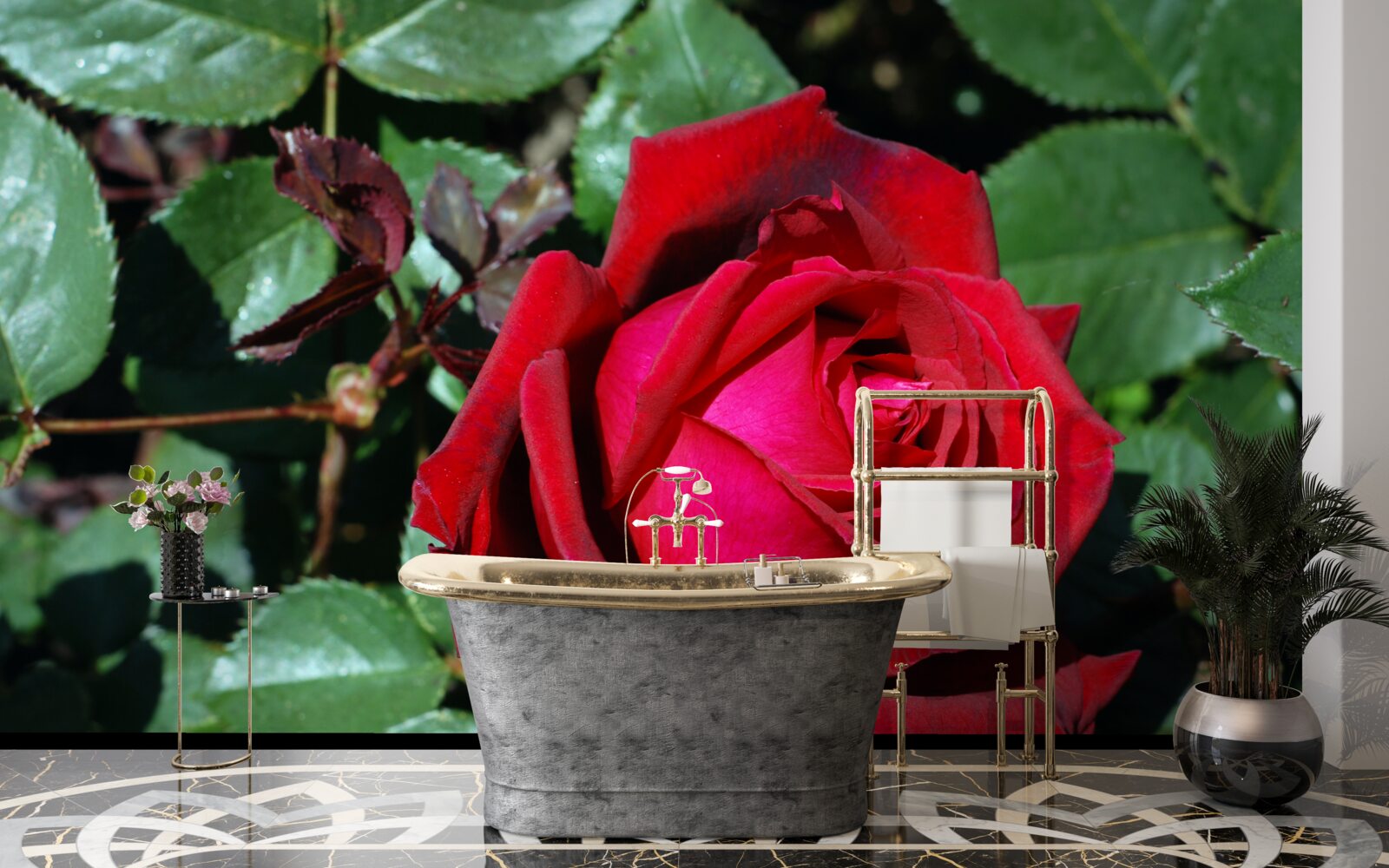 Fototapeta w ogrodzie zakwitła szkarłatna róża