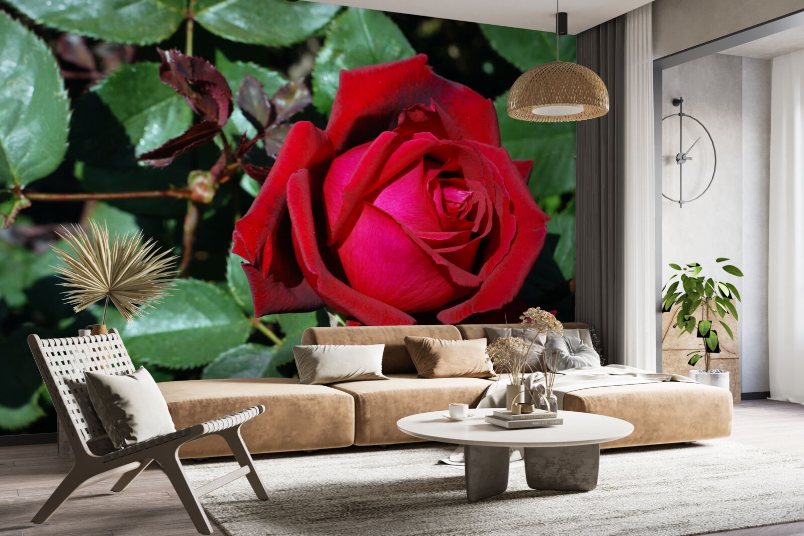 Fototapeta w ogrodzie zakwitła szkarłatna róża