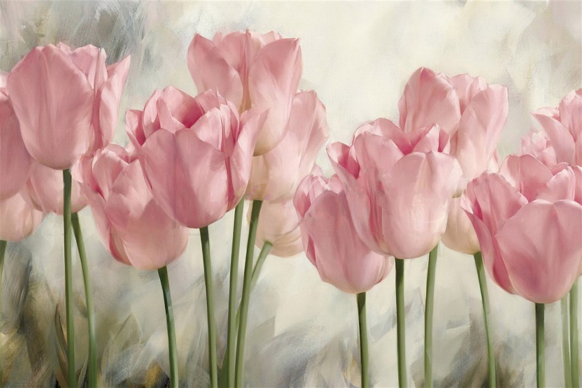 Fototapeta delikatne różowe tulipany
