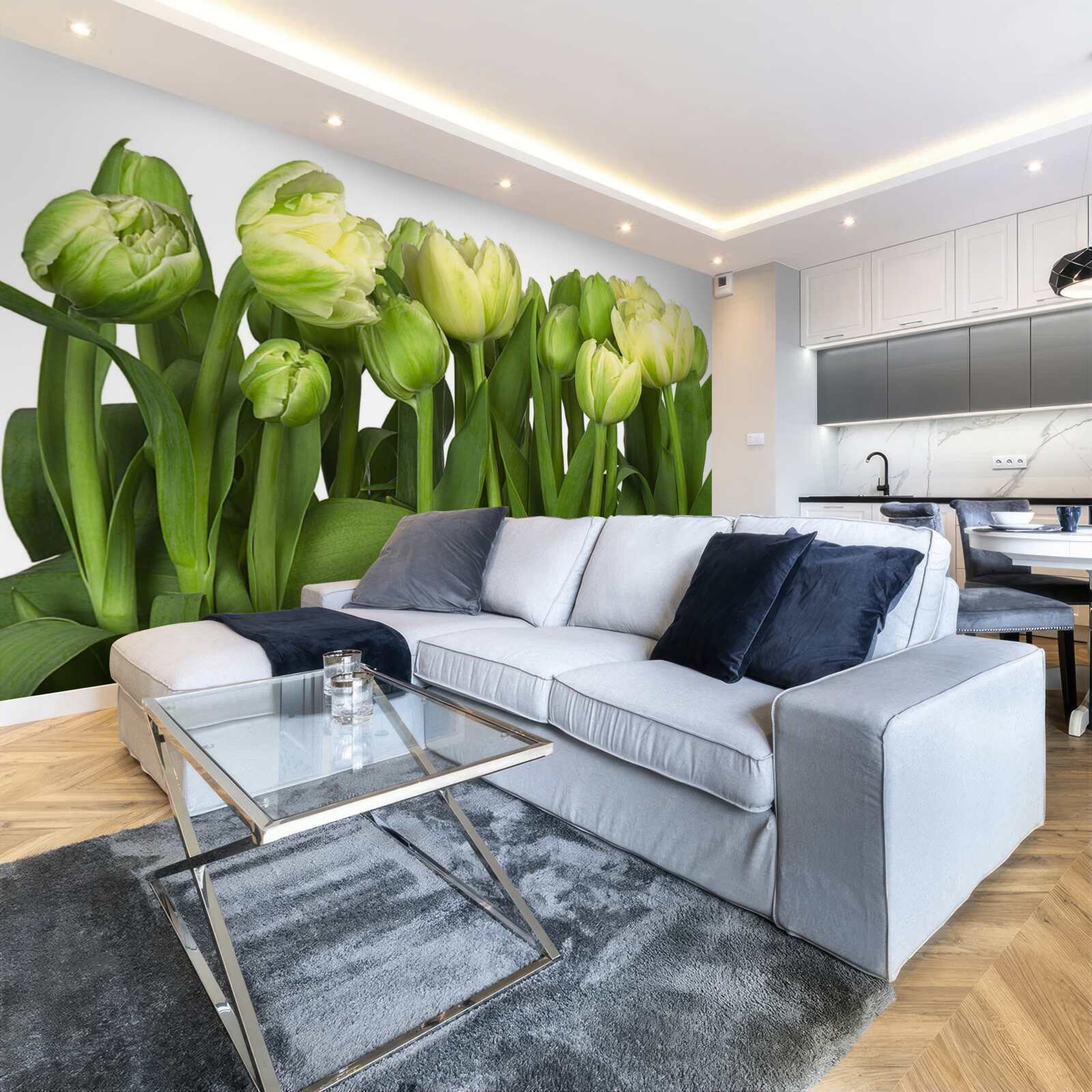 Fototapeta zestaw częściowo otwartych lekkich tulipanów