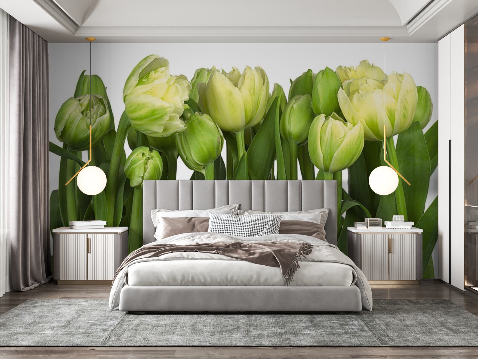 Fototapeta zestaw częściowo otwartych lekkich tulipanów