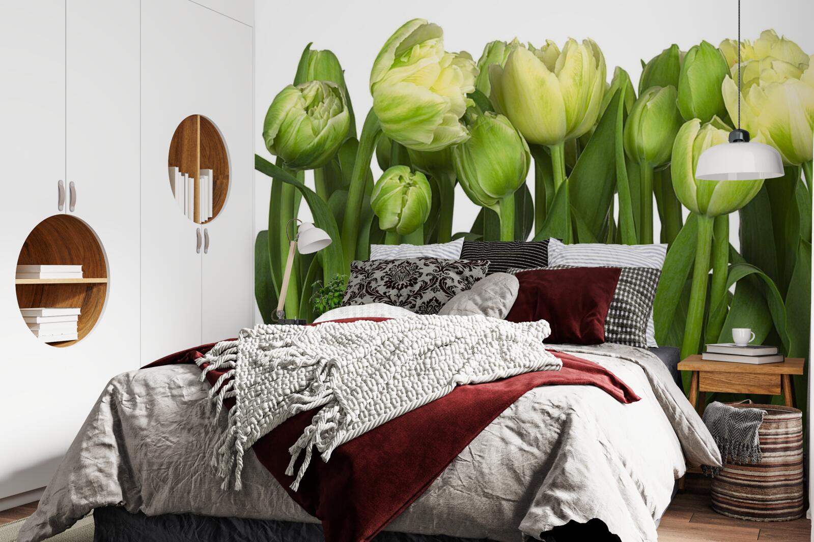 Fototapeta zestaw częściowo otwartych lekkich tulipanów