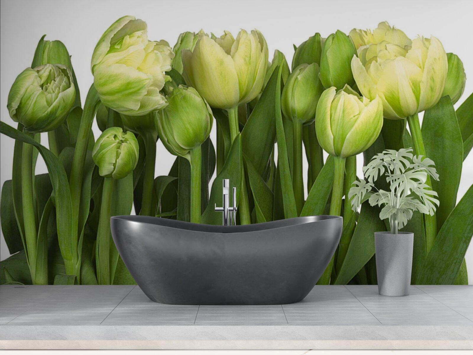 Fototapeta zestaw częściowo otwartych lekkich tulipanów