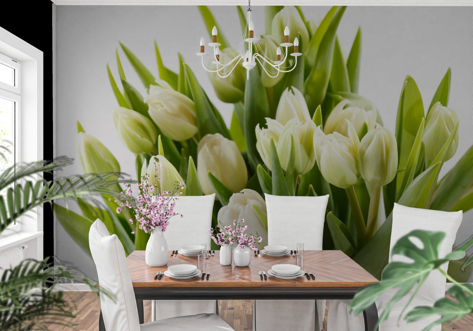 Fototapeta zestaw śnieżnobiałych tulipanów