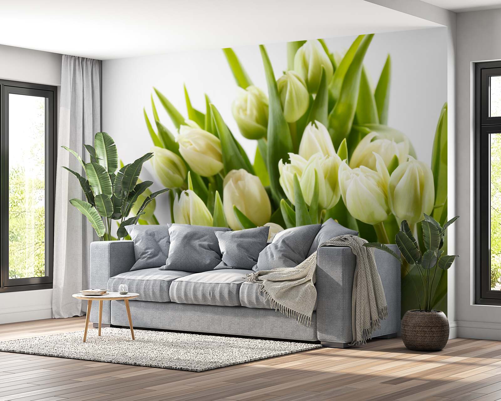 Fototapeta zestaw śnieżnobiałych tulipanów