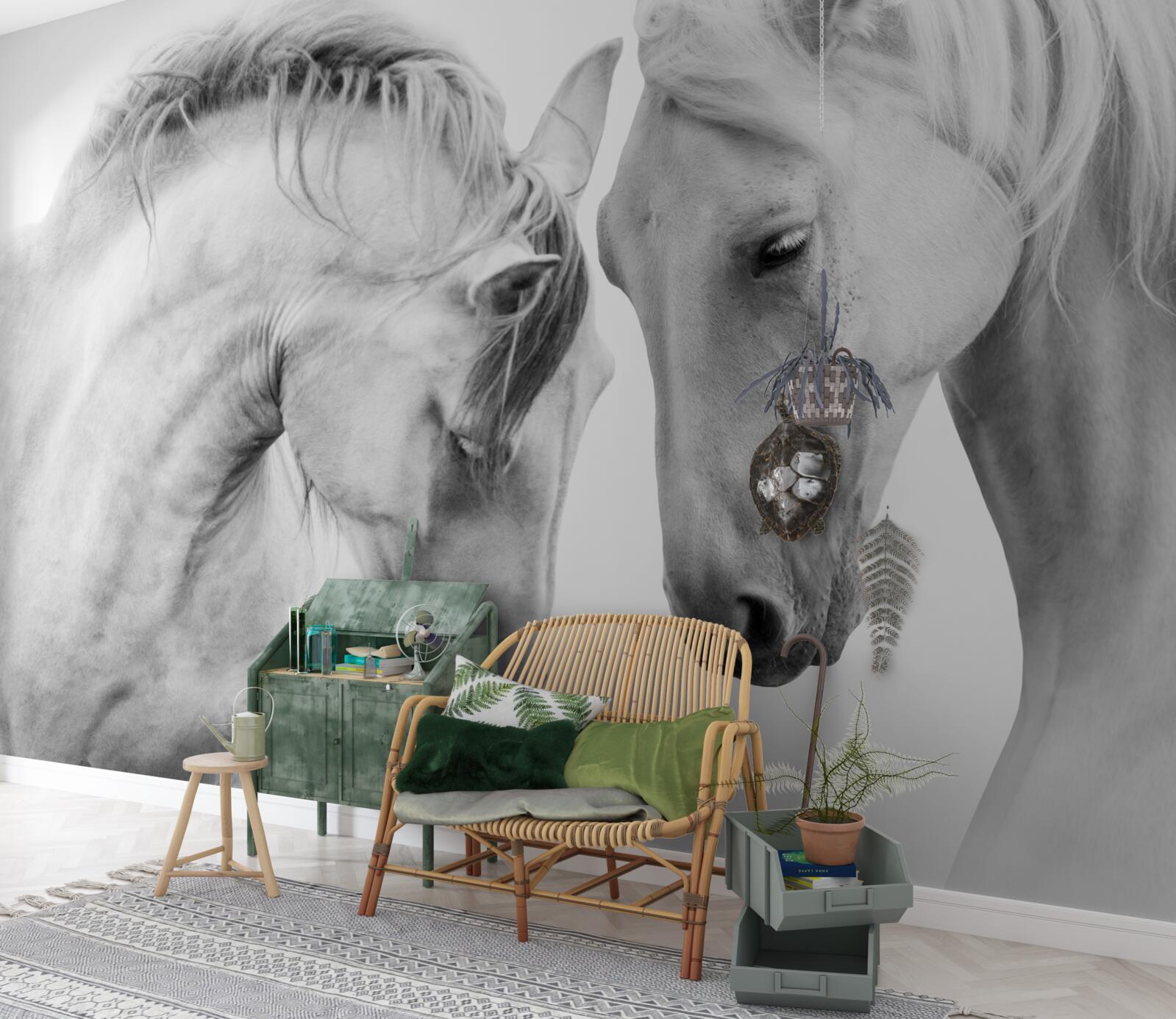 Fototapeta białe konie komunikują się