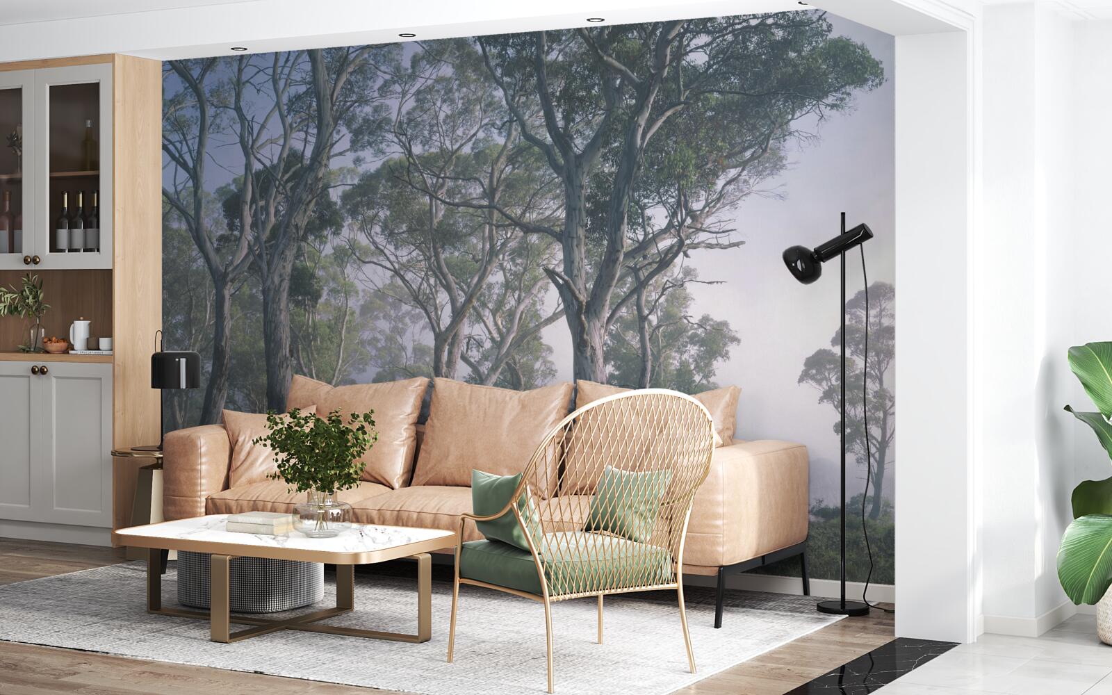 Fototapeta poranek budzi się w mglistym lesie