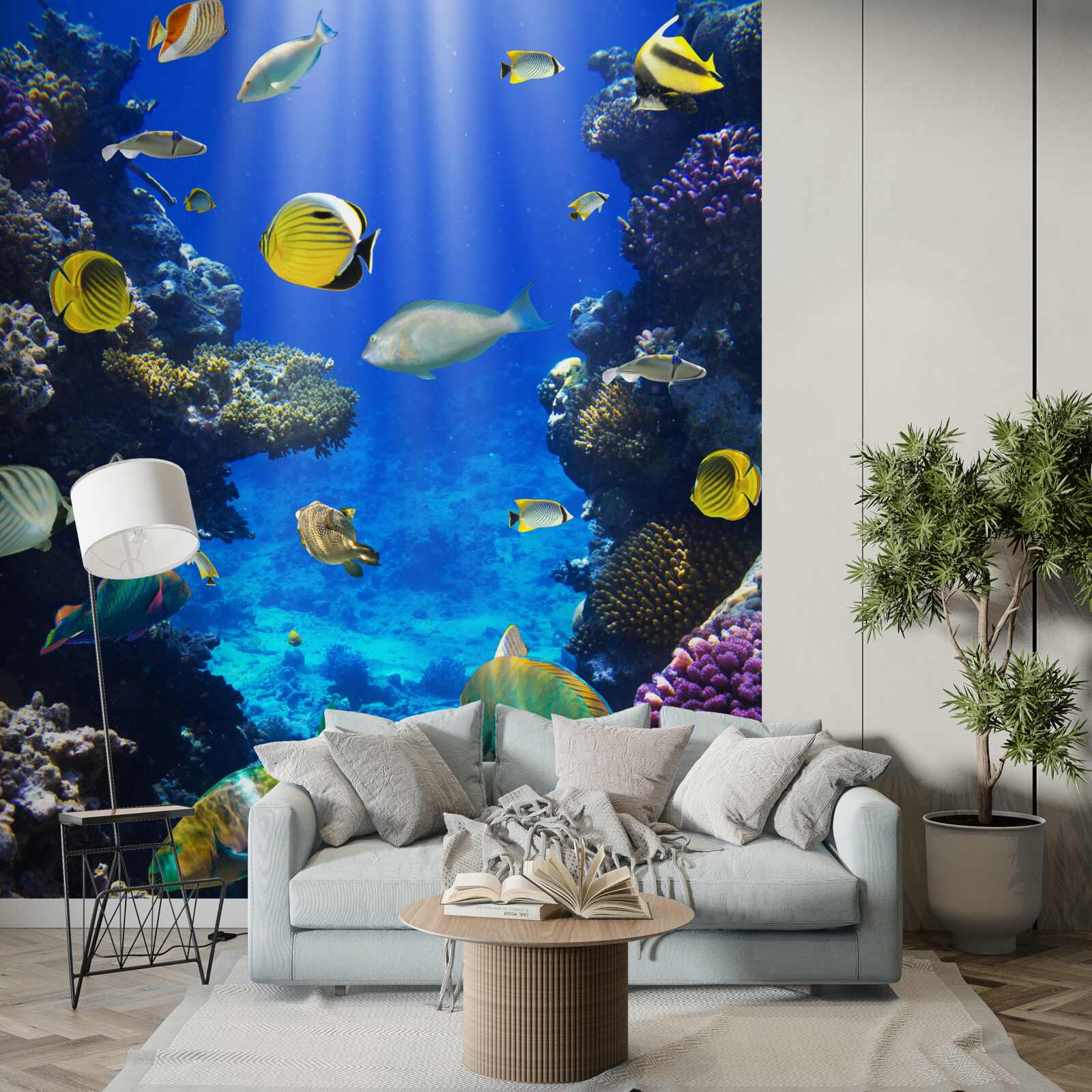 Fototapeta ryby w rafach koralowych oceanu