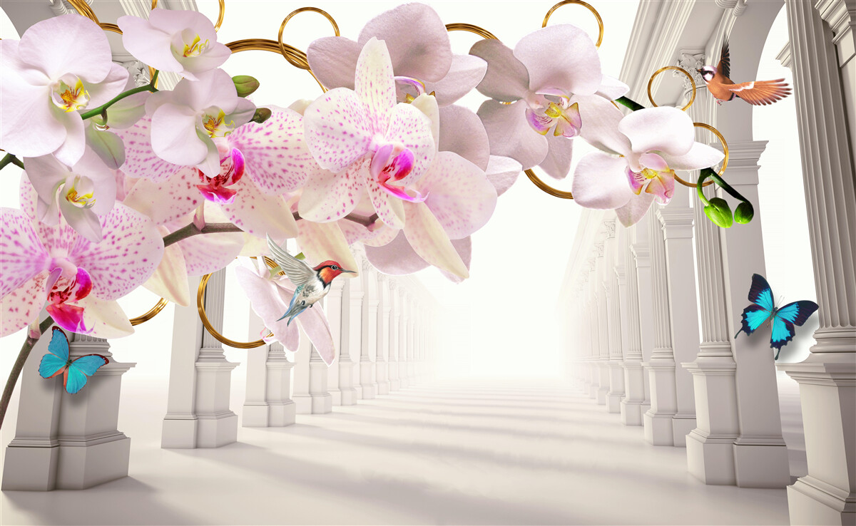 Fototapeta białe łuki ozdobione są orchideami i motylami