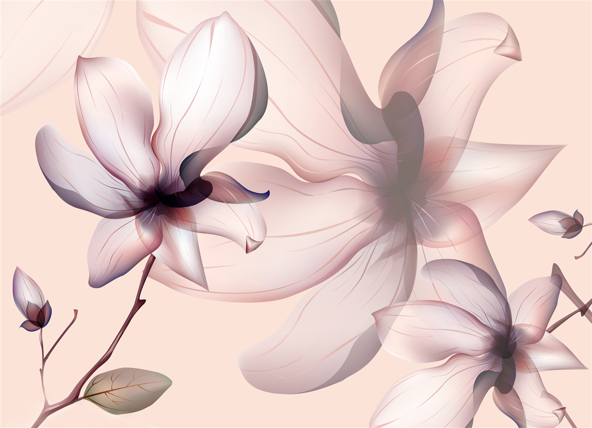 Fototapeta jasne tło z magnoliami