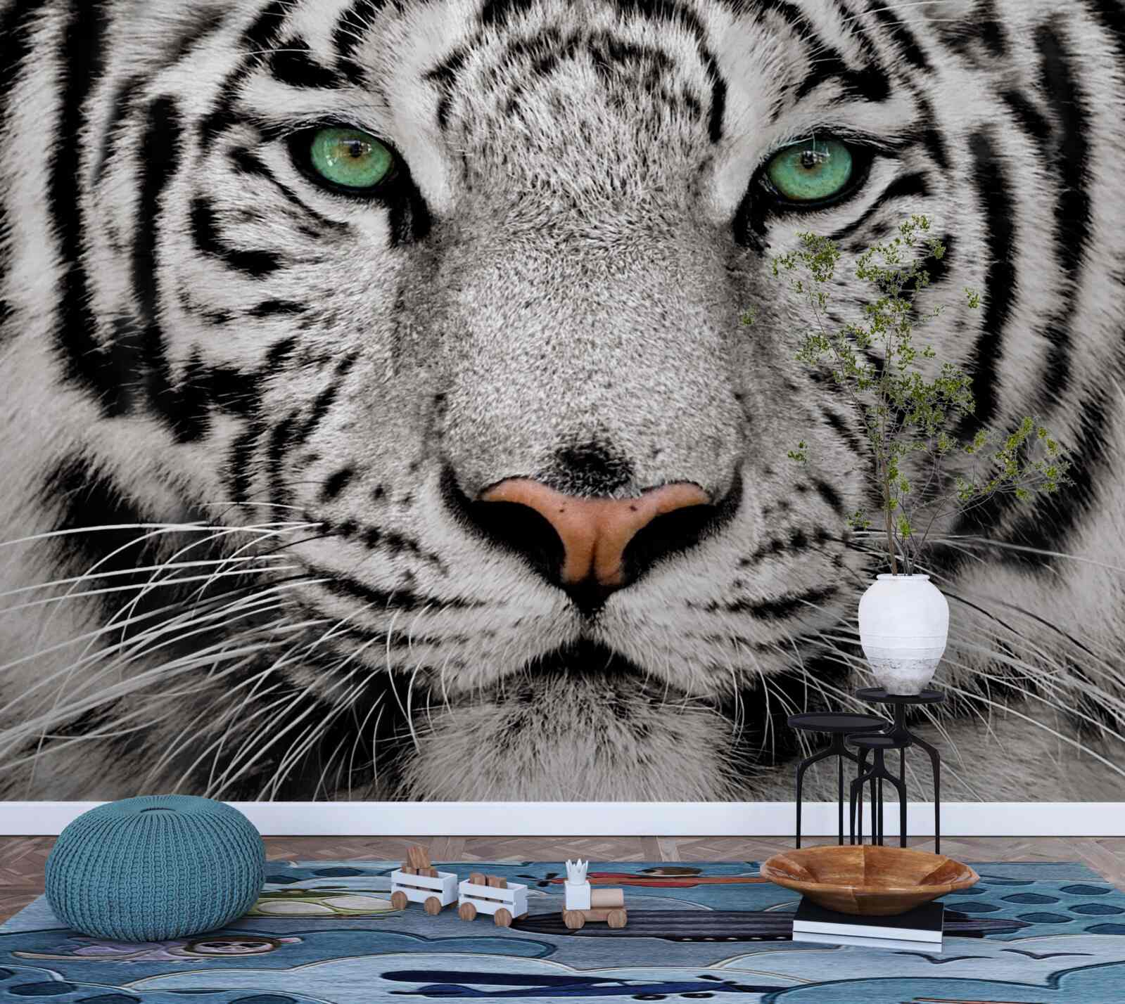 Fototapeta wizerunek białego tygrysa