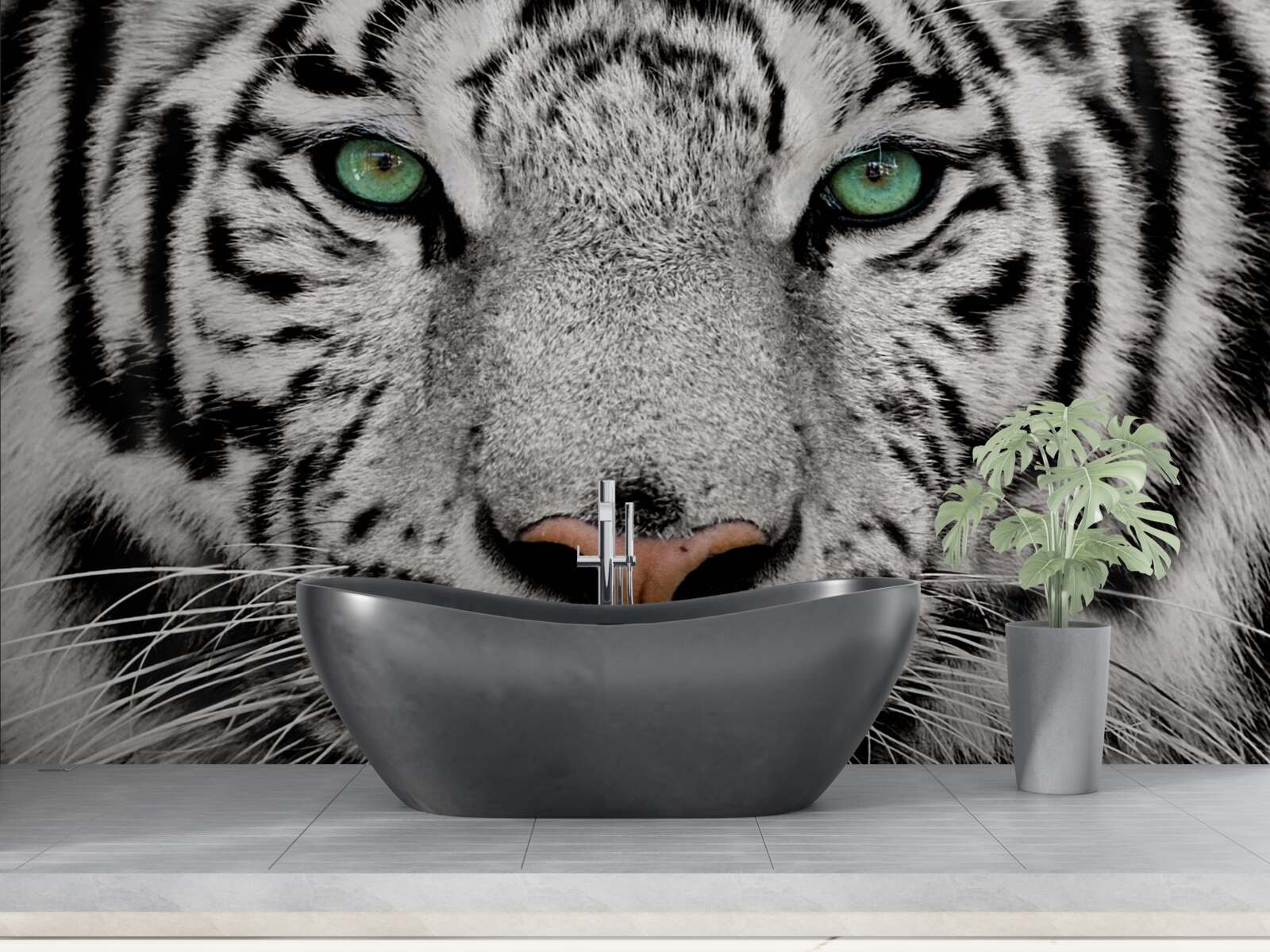 Fototapeta wizerunek białego tygrysa