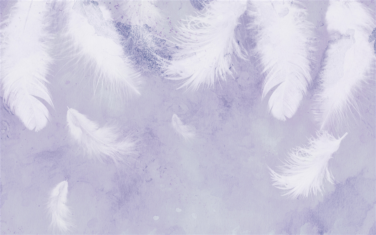 Fototapeta pływające białe pióra