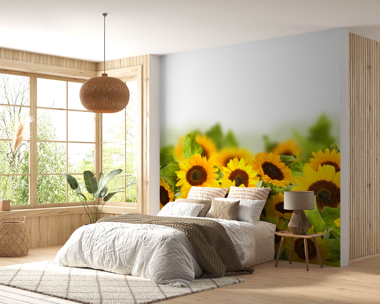 Fototapeta pole słoneczników w młodości