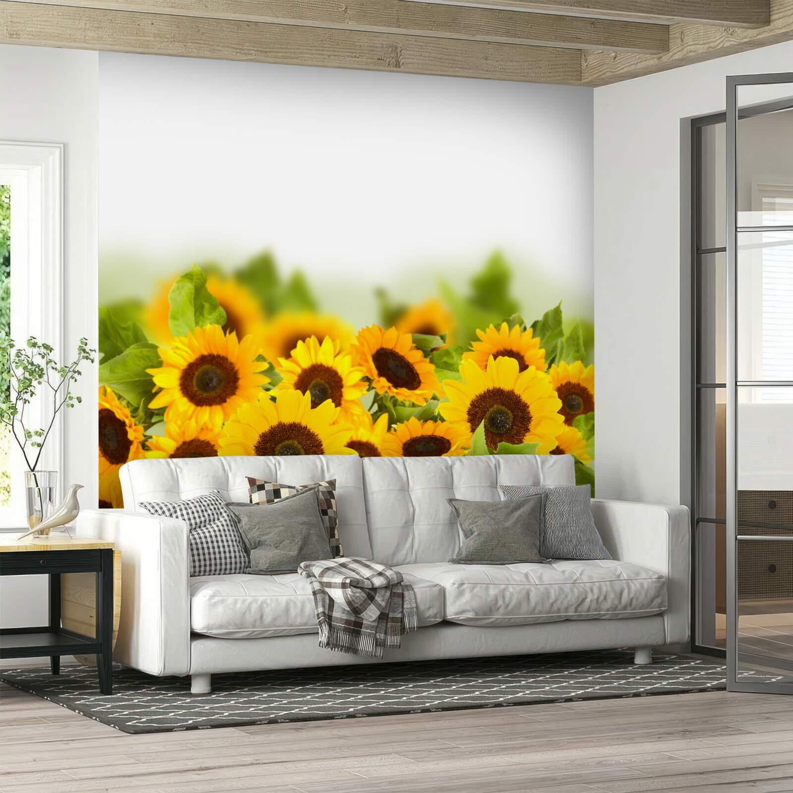 Fototapeta pole słoneczników w młodości