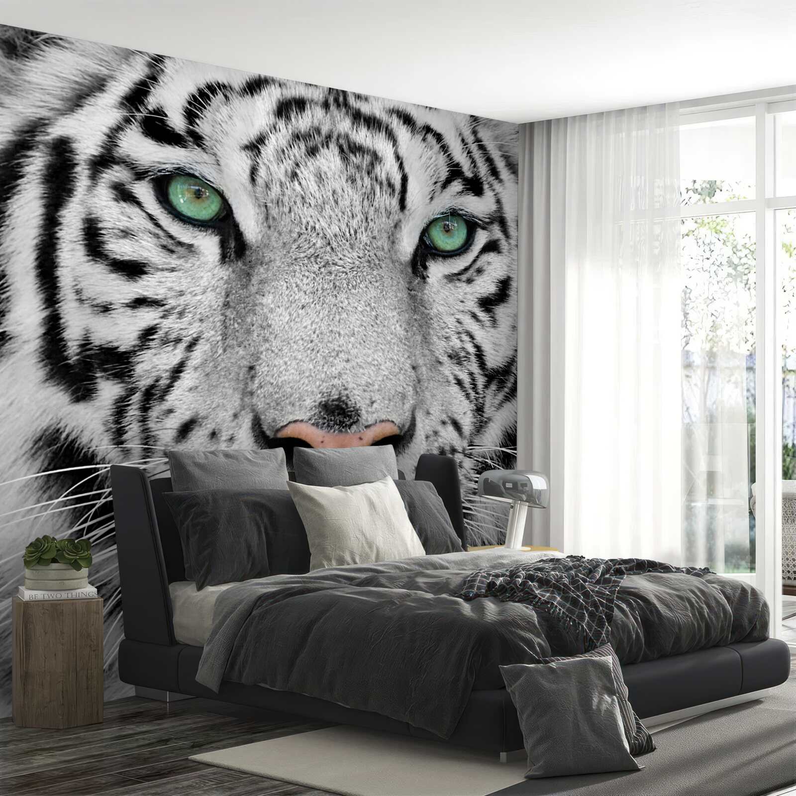 Fototapeta wspaniały biały tygrys