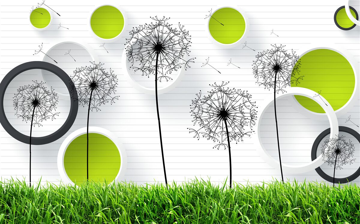 Fototapeta pastwisko usiane mleczami