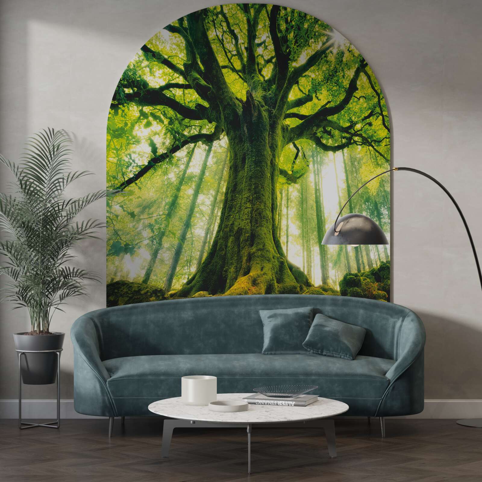 Fototapeta drzewo życia w porannym lesie