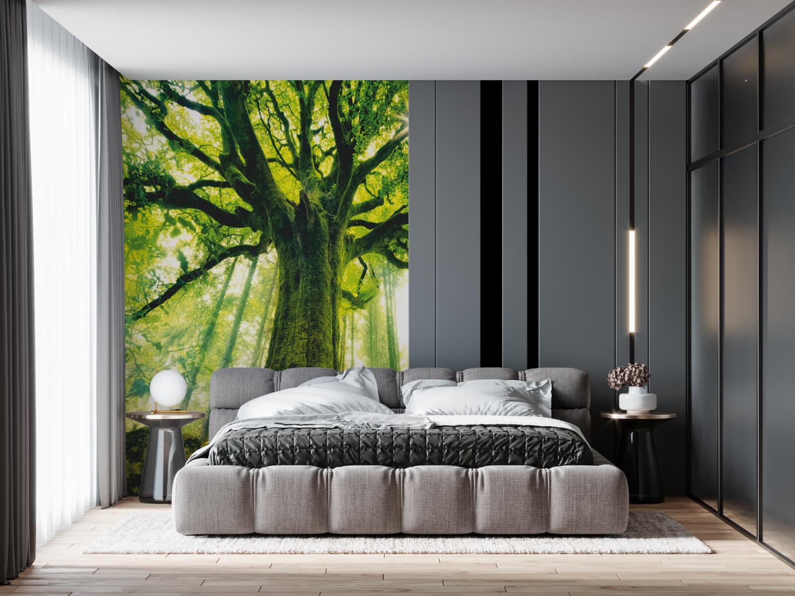 Fototapeta drzewo życia w porannym lesie