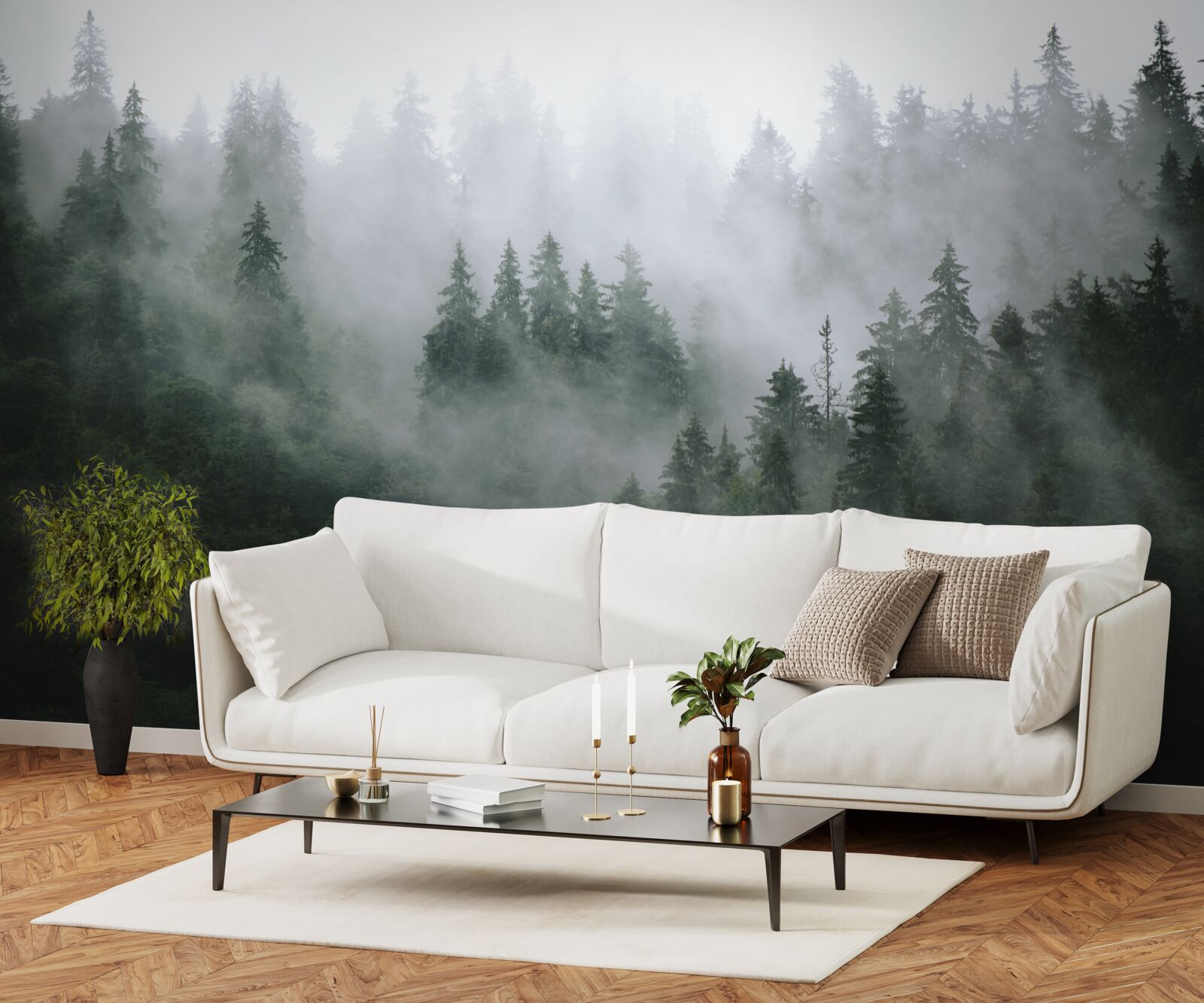 Fototapeta mglista krawędź lasu iglastego