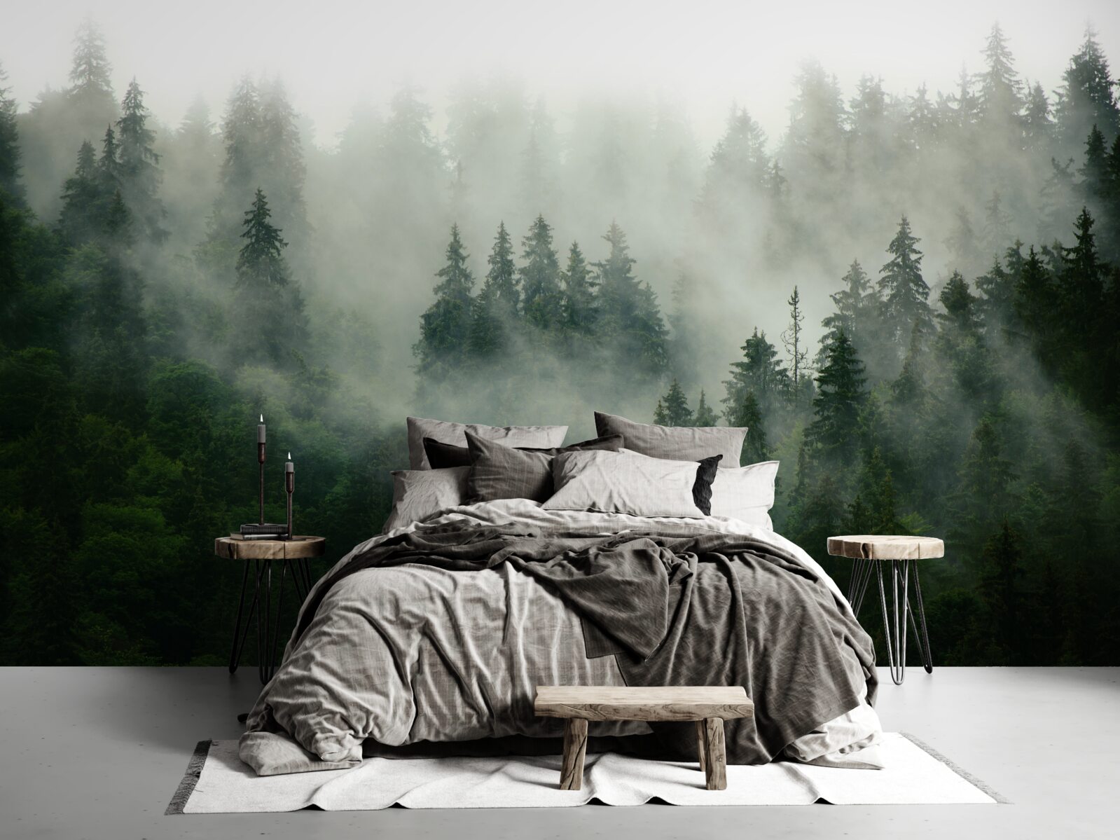 Fototapeta ciemność wśród świerków i sosn