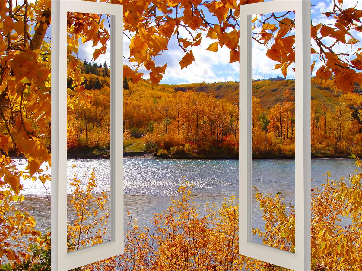 Fototapeta widok z okna na jesienny las