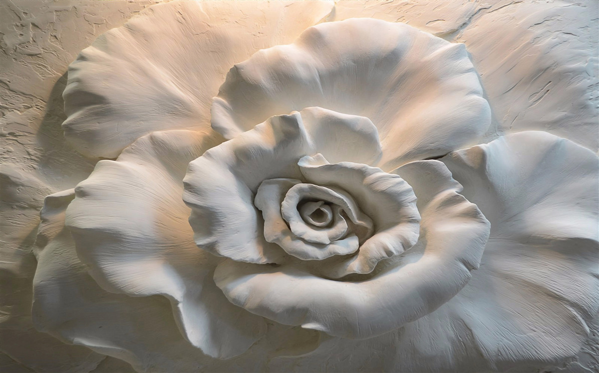 Fototapeta bliskie ujęcie ogromnej białej róży