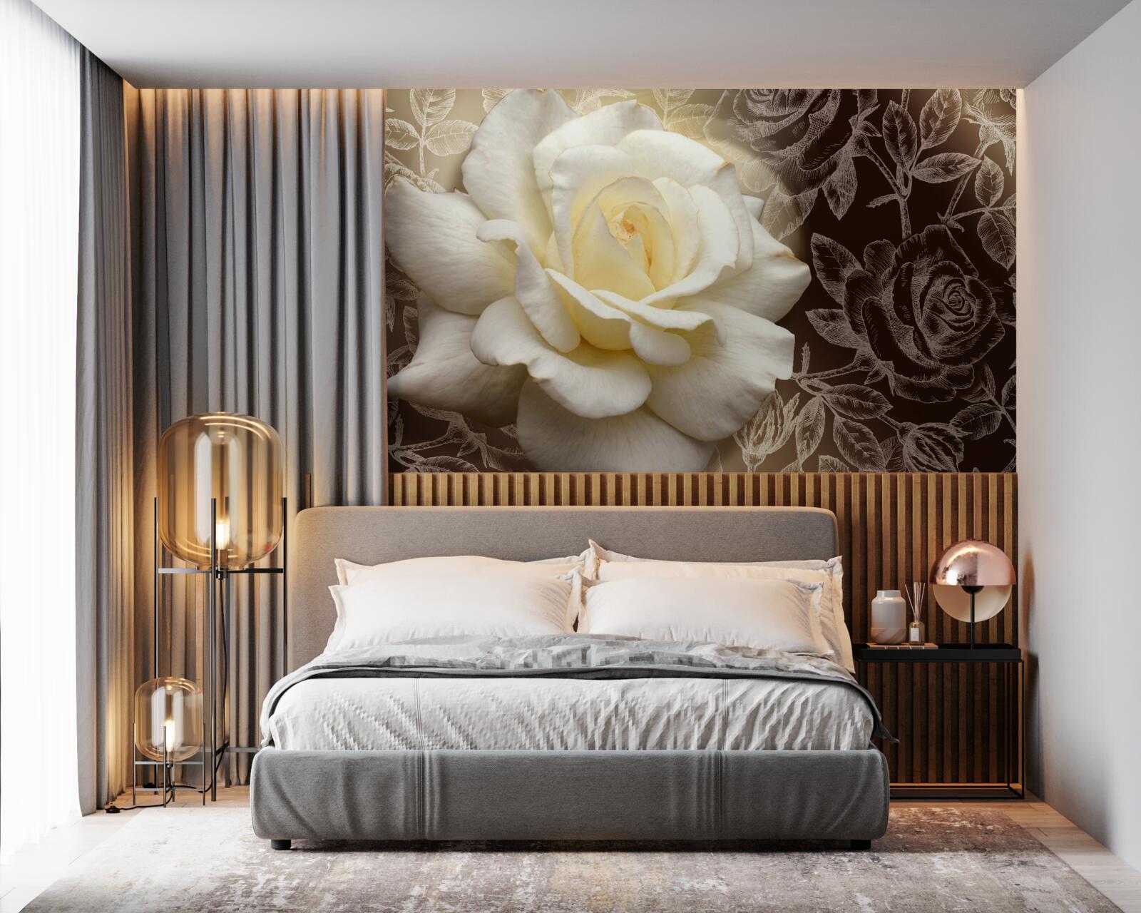 Fototapeta duża biała róża