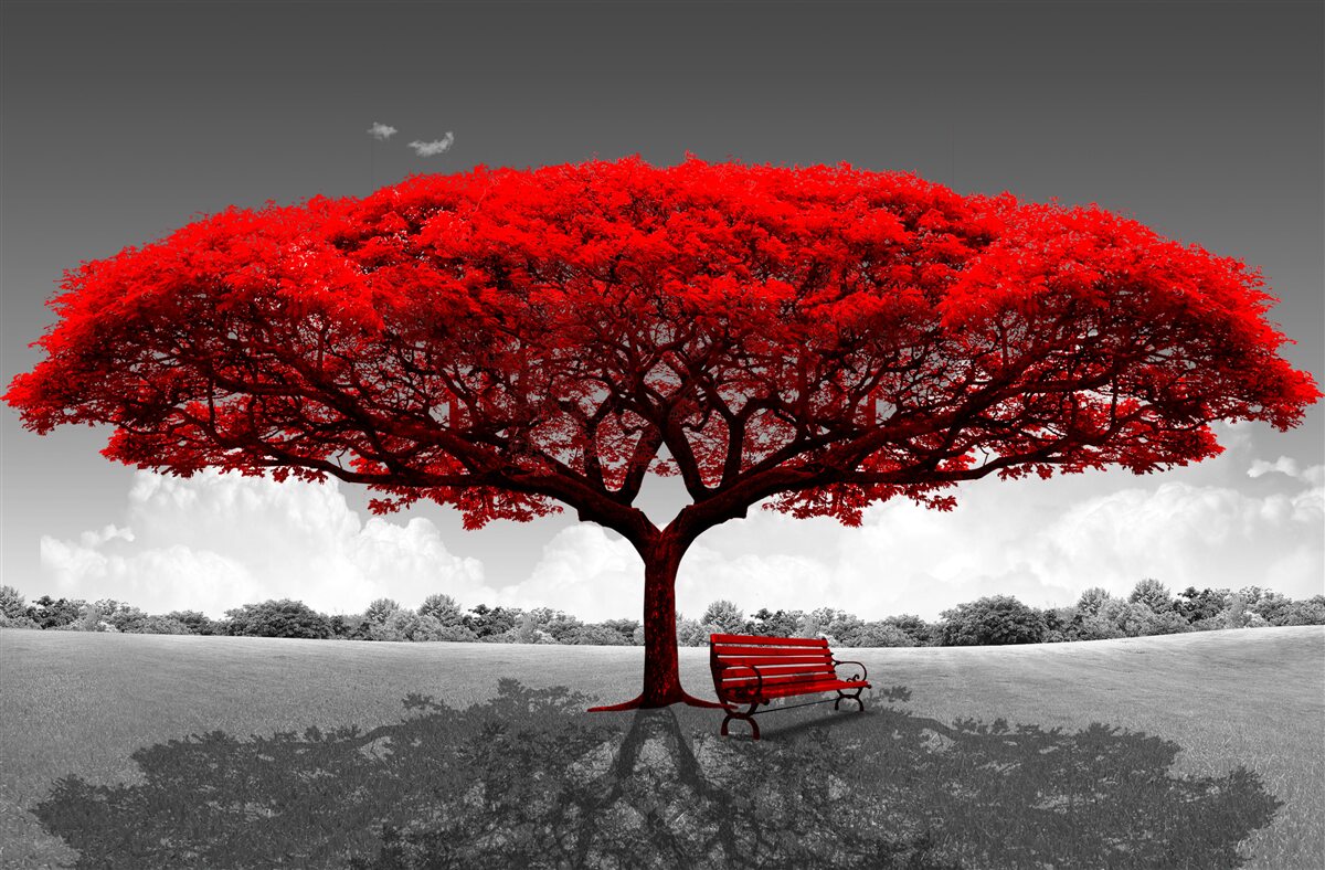Fototapeta Życie to czerwone drzewo w szarej przestrzeni polany