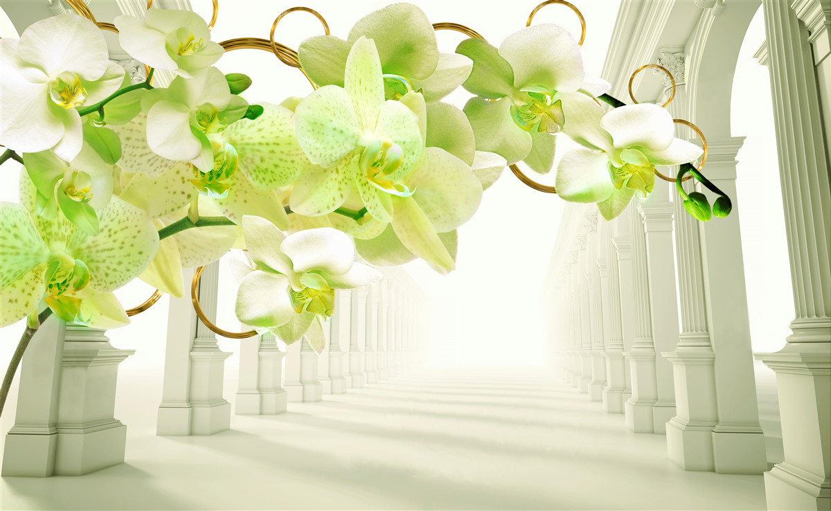 Fototapeta biało-zielona orchidea na tle białych filarów