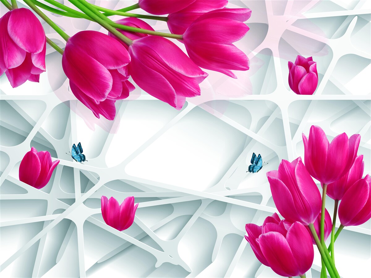 Fototapeta wspaniałe pąki różowych tulipanów