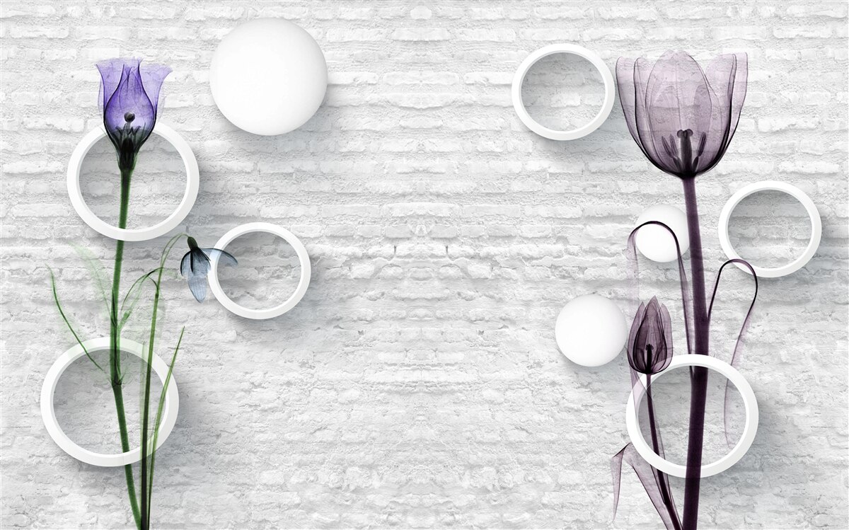 Fototapeta dwa chude fioletowe maki