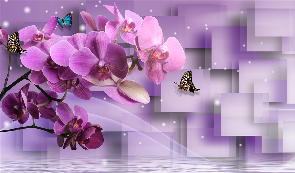 Fototapeta skład cienkich orchidei i motyli