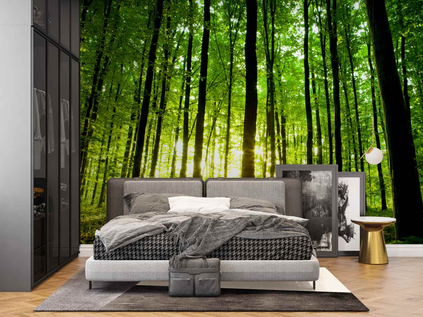 Fototapeta promienie słońca przenikają przez gęsty gaj