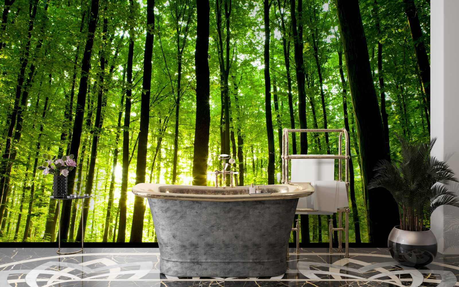 Fototapeta promienie słońca przenikają przez gęsty gaj