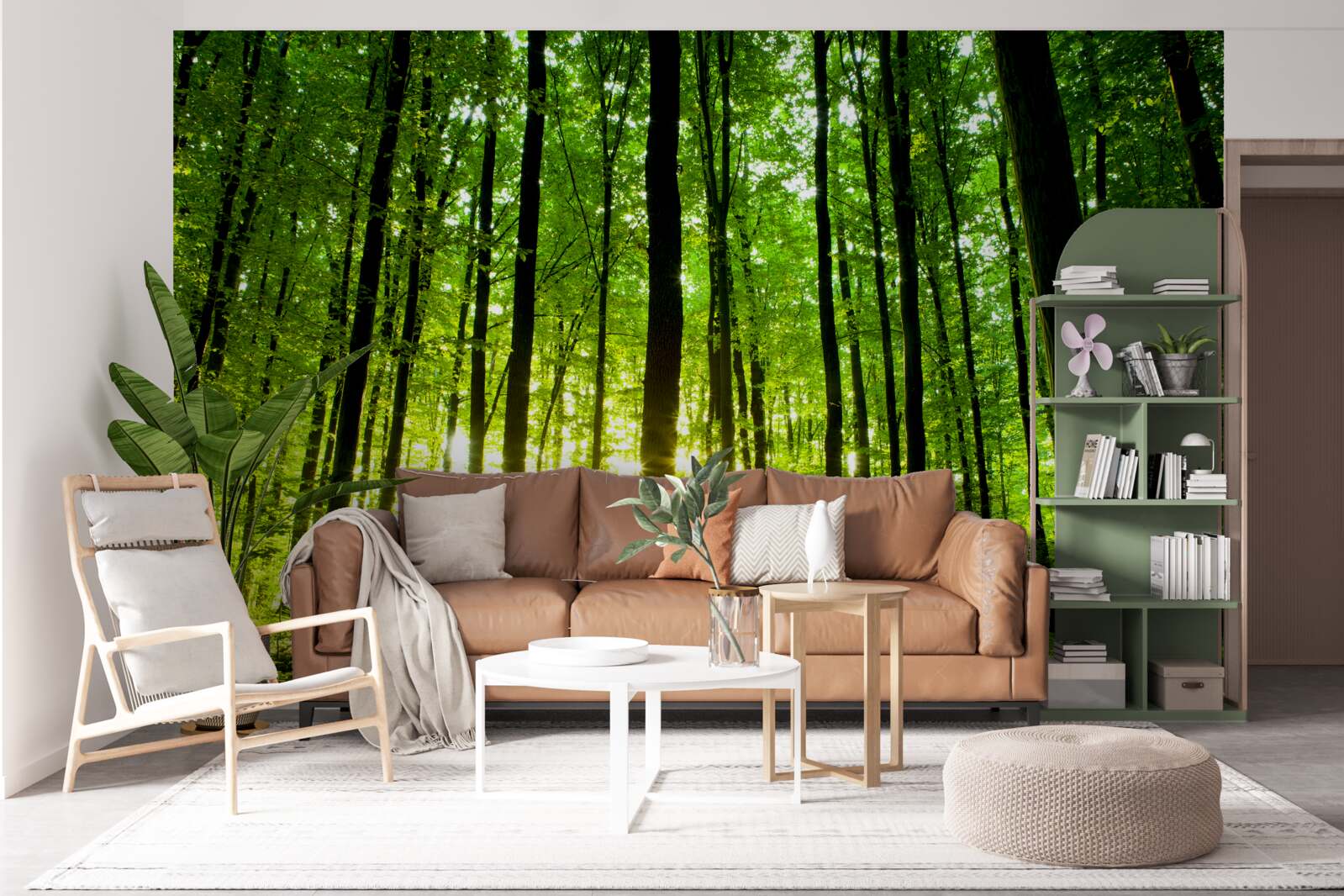 Fototapeta promienie słońca przenikają przez gęsty gaj