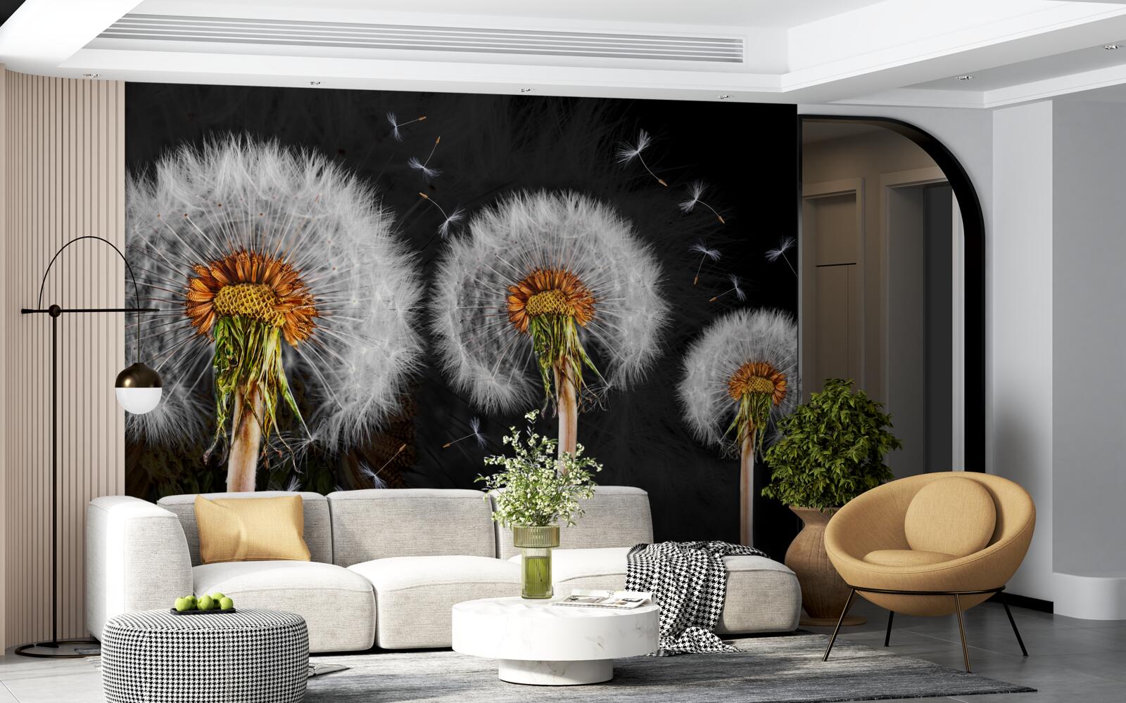 Fototapeta zwiędłe duże mlecze