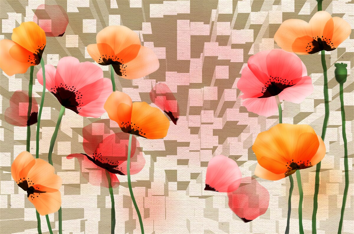 Fototapeta zestaw różowych i brzoskwiniowych maków