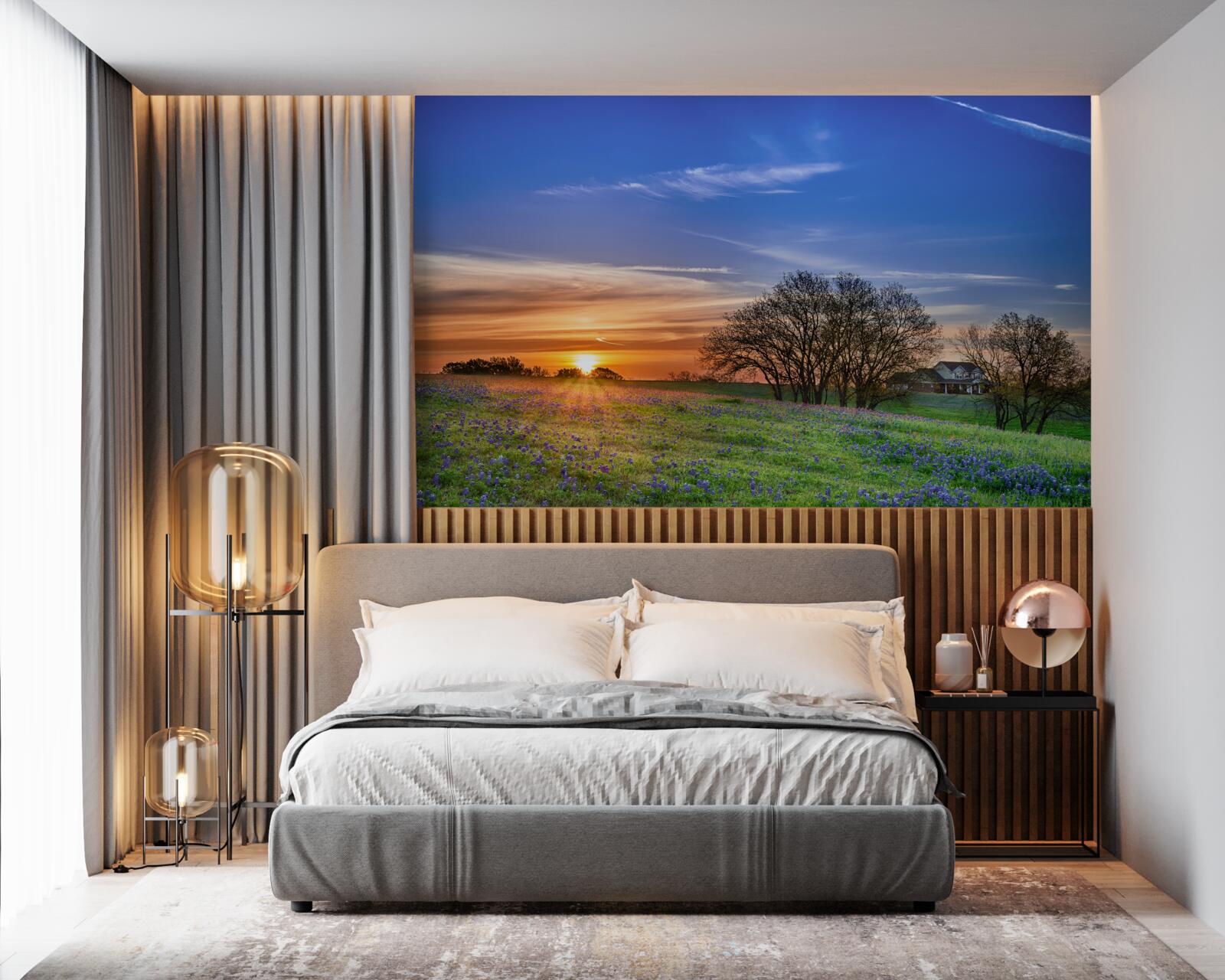 Fototapeta słońce zachodzi nad polem usianym kwiatami