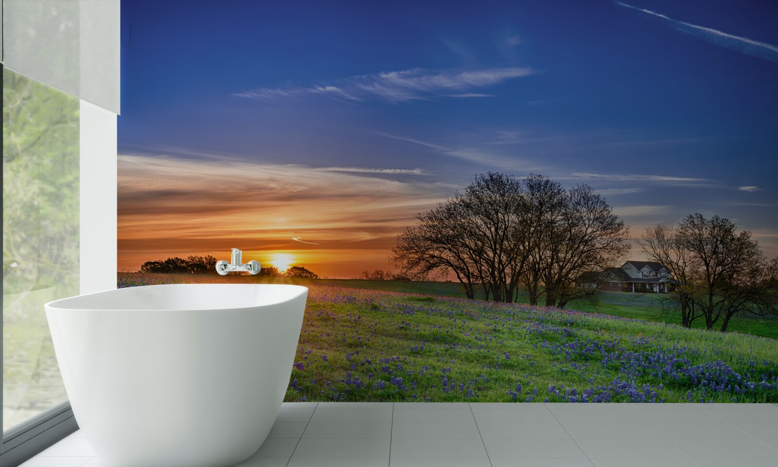 Fototapeta słońce zachodzi nad polem usianym kwiatami