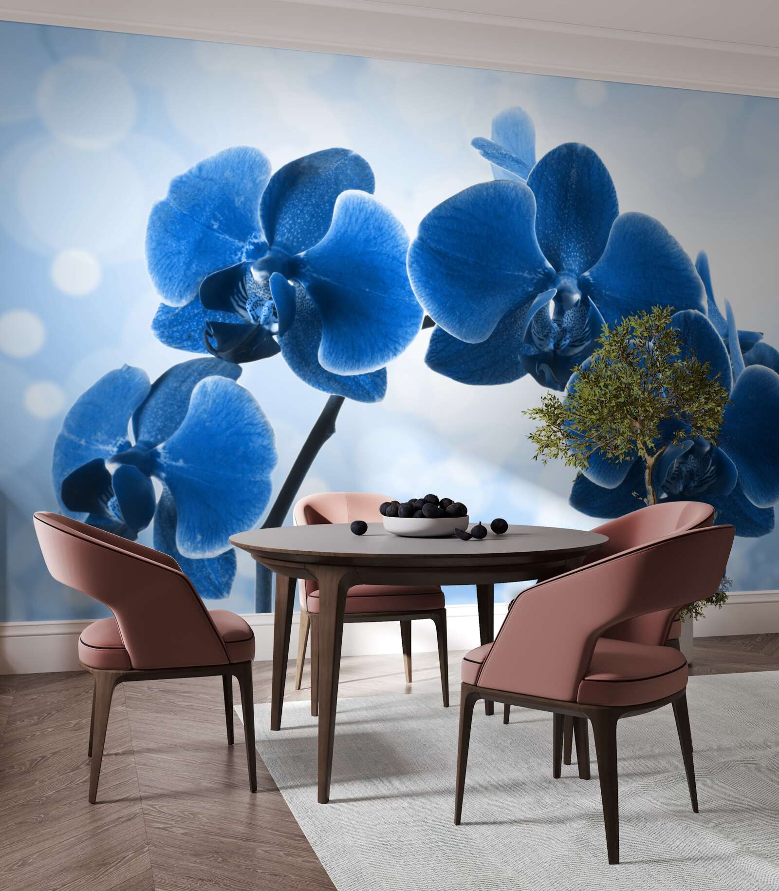 Fototapeta storczyki są w kolorze ciemnoniebieskim