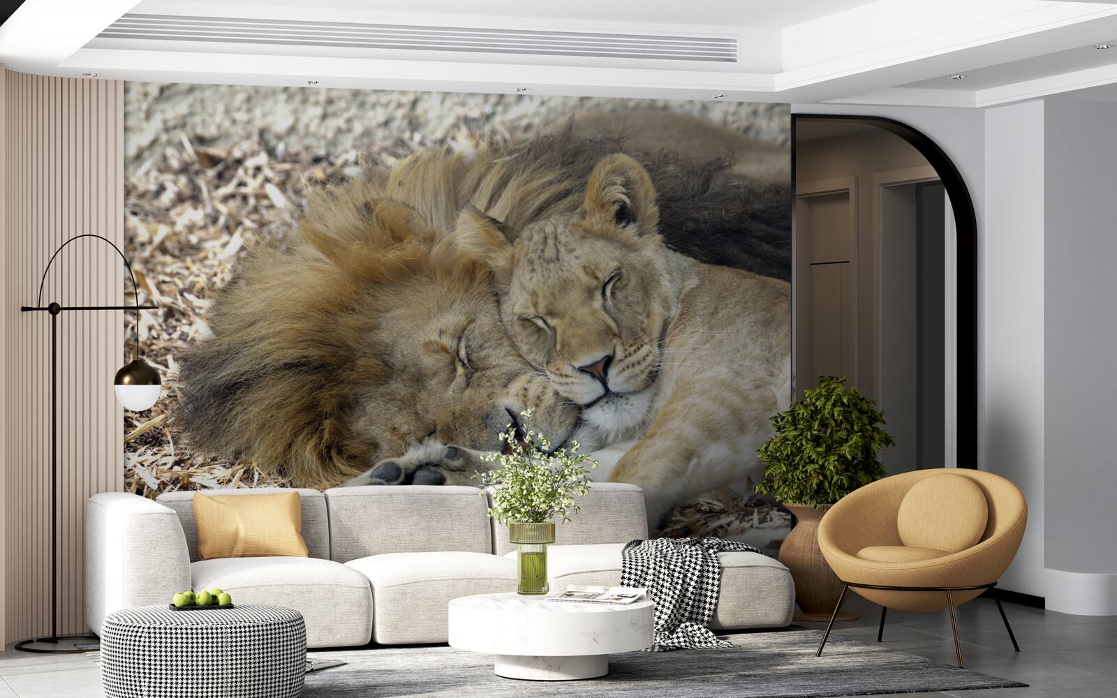 Fototapeta lew i lwica tworzące małżeństwo, sayat