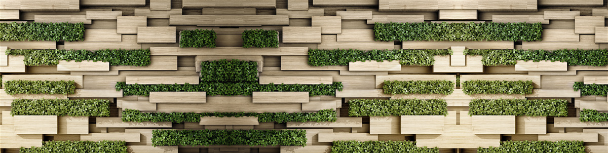 Fototapeta zielone rośliny na kamiennej ścianie