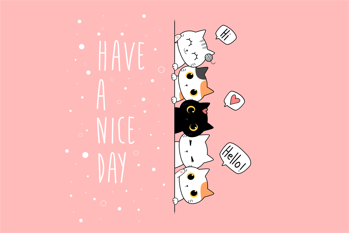 Fototapeta małe koty wychodzą