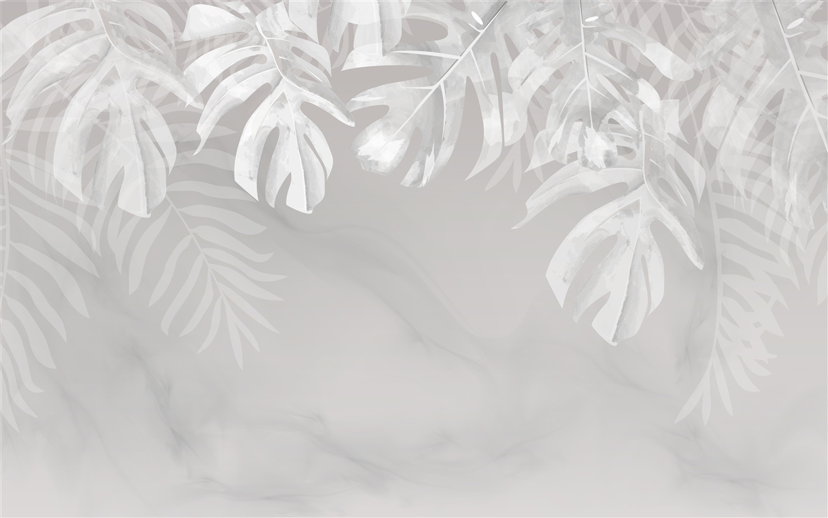 Fototapeta monstery z śnieżnobiałymi wiszącymi liśćmi