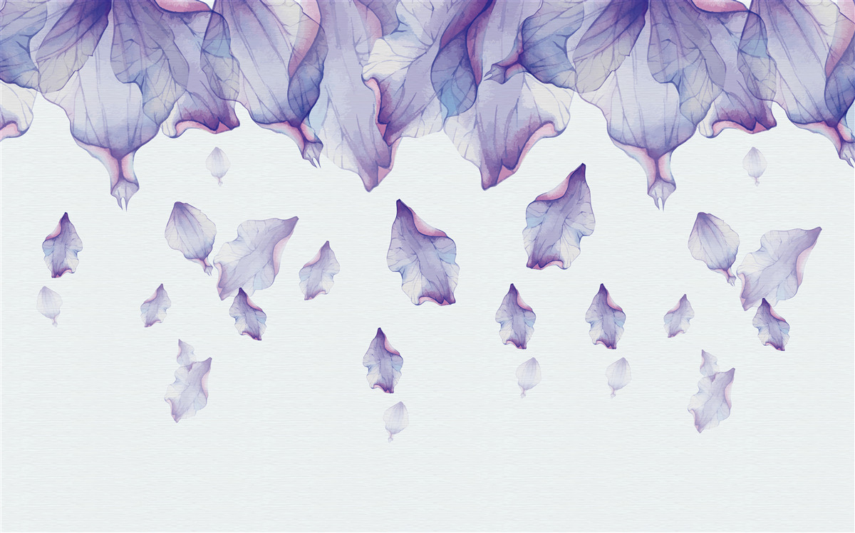 Fototapeta opadające fioletowe kwiaty irysa