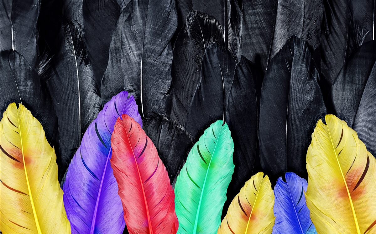 Fototapeta tło z jasnymi dużymi piórami