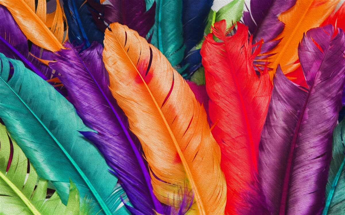 Fototapeta niezwykle bogate, błyszczące pióra