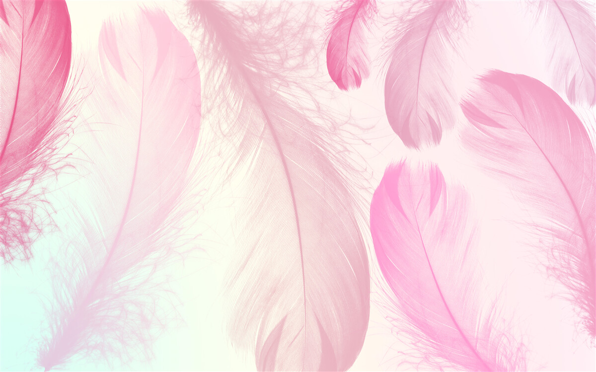 Fototapeta duże piórka o delikatnym różowym odcieniu